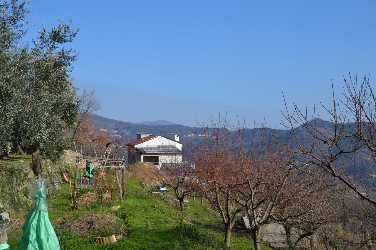Bed and Breakfast Joie De Vivre Calice Ligure Exteriér fotografie